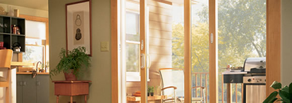 Narroline Gliding Patio Door